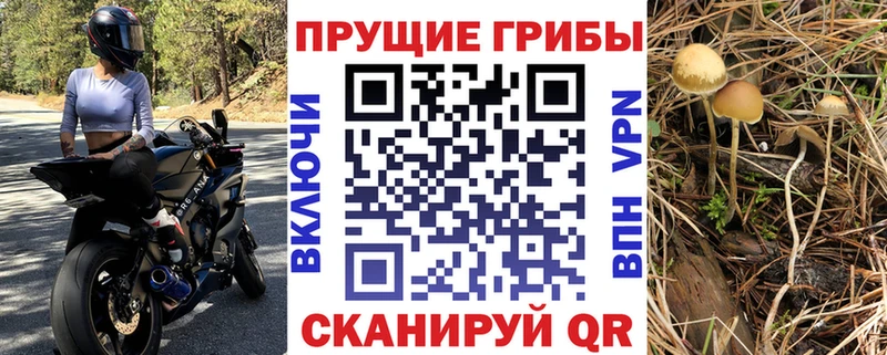 Галлюциногенные грибы MAGIC MUSHROOMS сайты даркнета состав Мглин