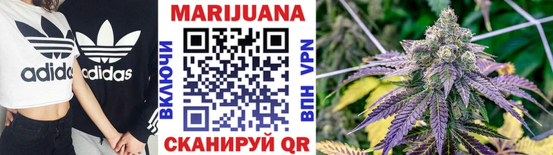 блэк спрут как войти  Мглин  Конопля сатива 